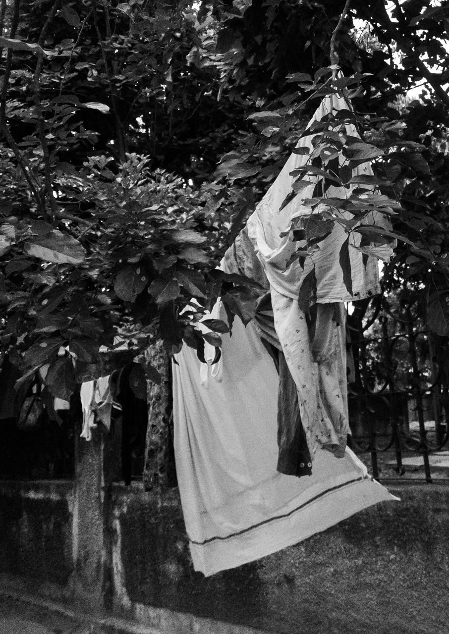 WOMEN STANDING ON TREE TRUNK