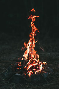 Bonfire on field at night