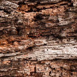 Close-up of water splashing