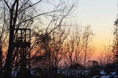 Silhouette bare trees against sky during sunset