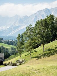 Trees on field by mountains against sky