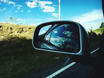 Reflection of trees in side-view mirror