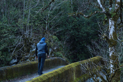 Rear view of man standing by tree in forest