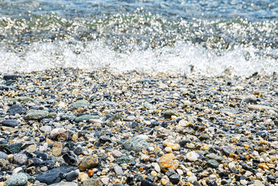 Pebbles in the water edge of a beach