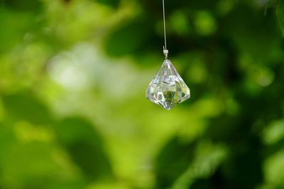 Close-up of water drops on leaf