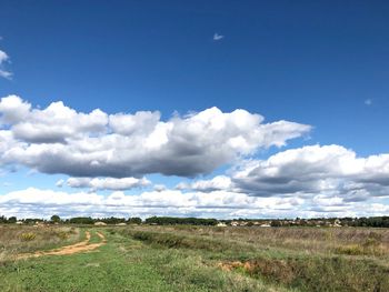 Scenic view of field against sky