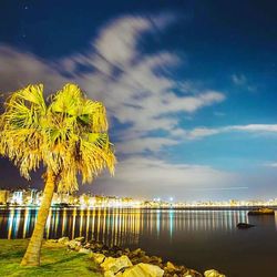 Reflection of trees in water at night