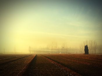 Road passing through field