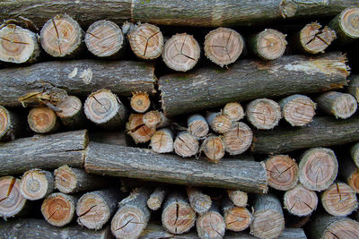 Full frame shot of logs in forest