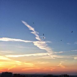 Low angle view of vapor trails in sky