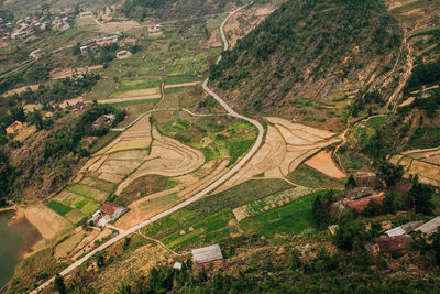 High angle view of agricultural field