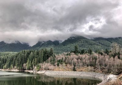 Scenic view of trees and mountains against sky