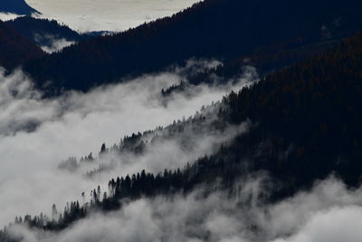 Panoramic view of trees and mountains against sky