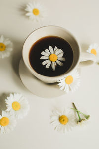 High angle view of white daisy flowers on table