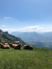 Scenic view of landscape against sky