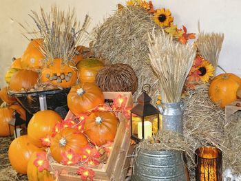 Close-up of pumpkins on display