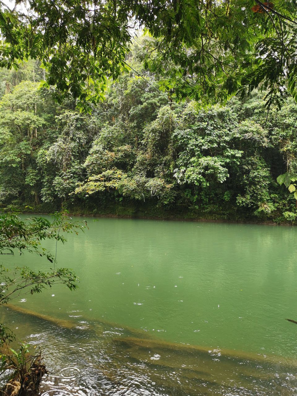 SCENIC VIEW OF LAKE