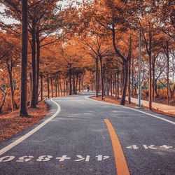 Road amidst trees during autumn