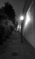 Illuminated street lights at night