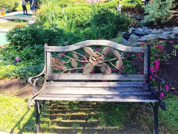 Plants growing on wooden bench in park