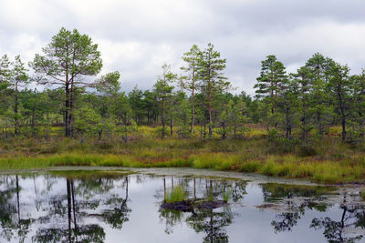 Scenic view of lake against sky