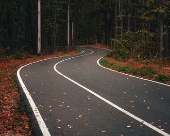 Road by trees in forest