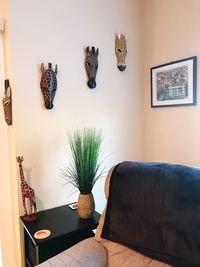 Potted plant on table at home