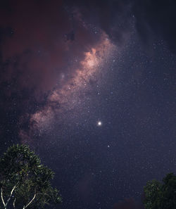 Low angle view of trees against sky at night