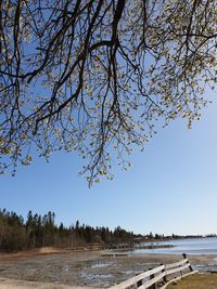 Scenic view of lake against clear blue sky