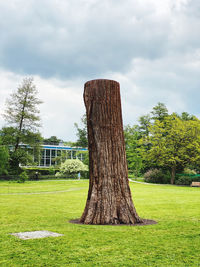 Trees growing on field against sky