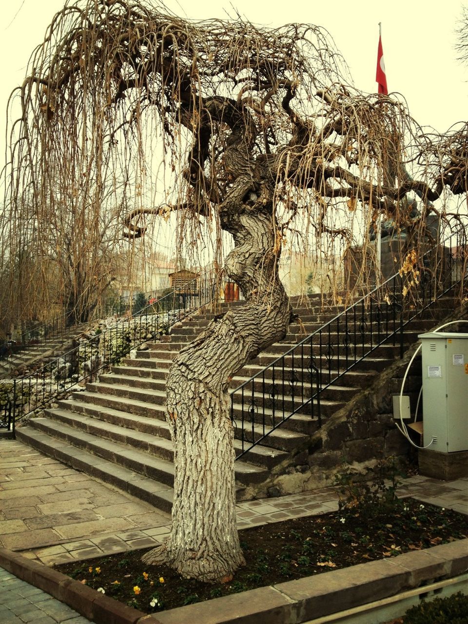 building exterior, built structure, architecture, sky, day, water, outdoors, no people, tree, old, steps, protection, house, wood - material, abandoned, sunlight, railing, nature, metal, safety