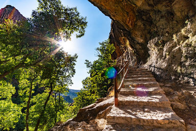 Low angle view of rock formation amidst trees against sky