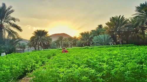 Scenic view of field against cloudy sky