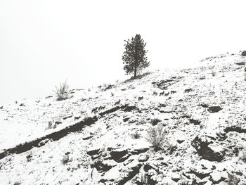 View of snow covered landscape against clear sky