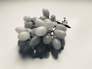 Close-up of grapes against white background