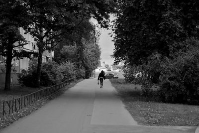 Rear view of person walking on footpath amidst trees