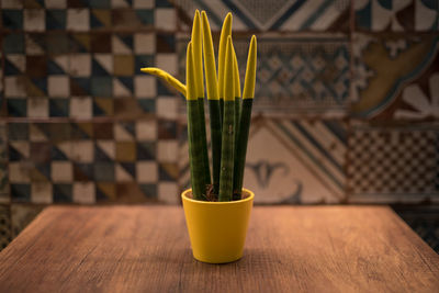 Close-up of yellow flower in vase on table at home