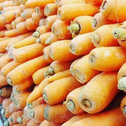 Detail shot of carrots