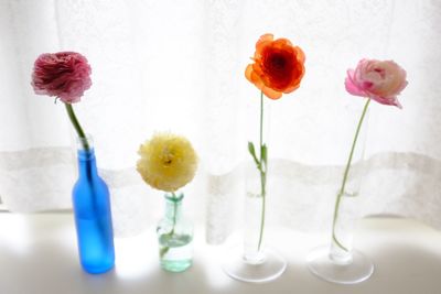 Flowers in vase on window sill against curtain at home