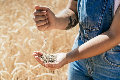 Crop female farmer in overalls standing in golden field and pouring wheat grain in hand