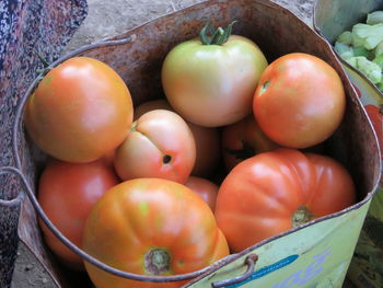 High angle view of tomatoes in basket