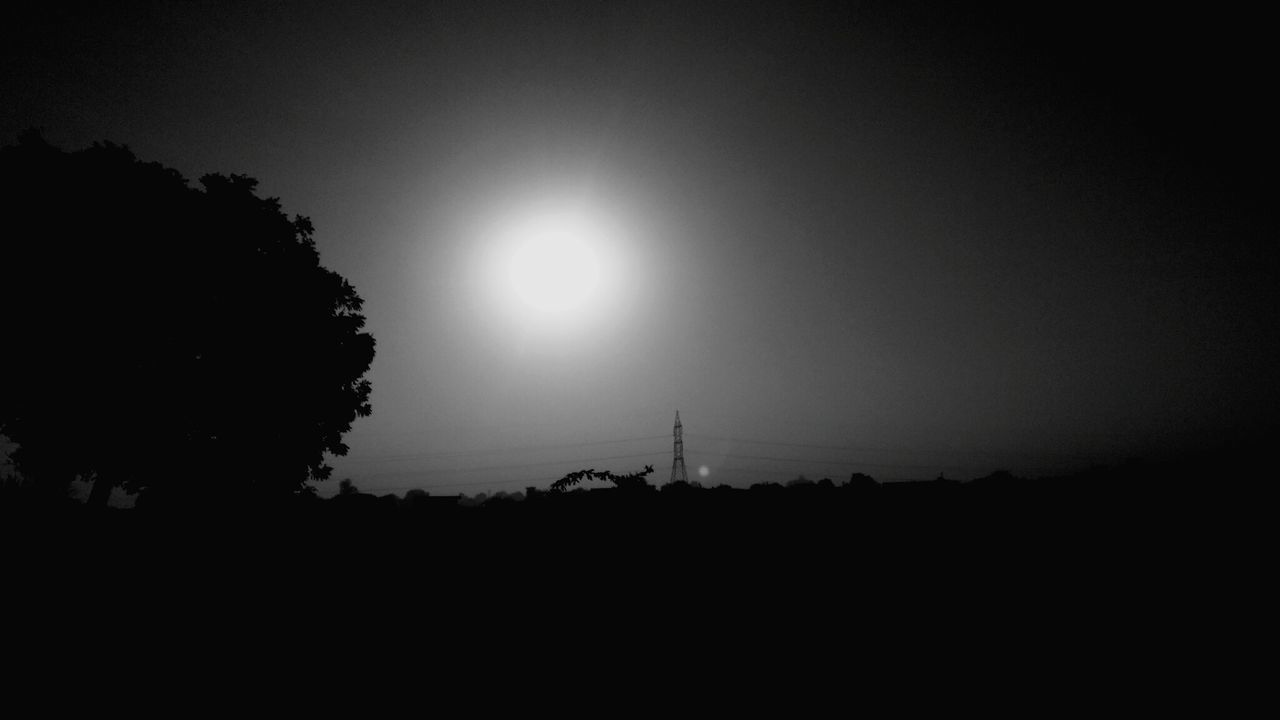 SILHOUETTE TREE AGAINST SKY AT NIGHT