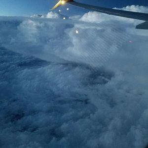 Cropped image of airplane wing over landscape