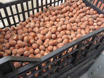 High angle view of eggs in container