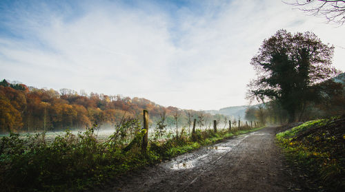 Empty road amidst trees on field against sky