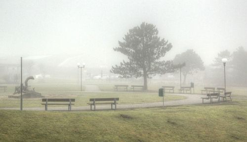 Trees on snow covered landscape against sky