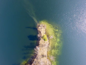 High angle view of man standing on sea shore