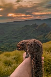 Person lying on land against sky during sunset