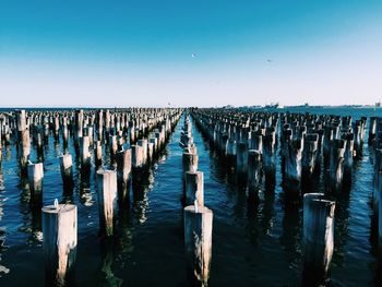 Row of wooden posts in sea