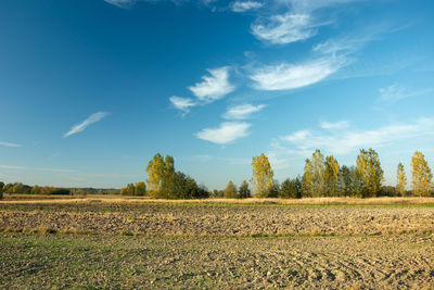 A plowed field, trees on the horizon and white clouds on the blue sky